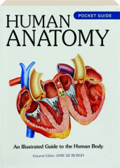 HUMAN ANATOMY: An Illustrated Guide to the Human Body