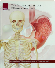 THE ILLUSTRATED ATLAS OF THE HUMAN ANATOMY cover