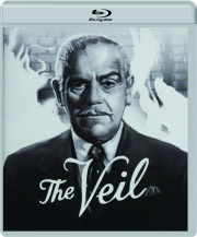 THE VEIL cover