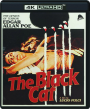 THE BLACK CAT cover