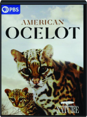 AMERICAN OCELOT: Nature cover