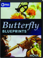 BUTTERFLY BLUEPRINTS: NOVA cover
