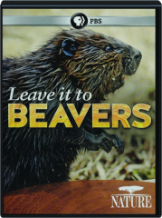 LEAVE IT TO BEAVERS: Nature cover