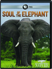 SOUL OF THE ELEPHANT: Nature cover