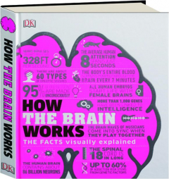 HOW THE BRAIN WORKS