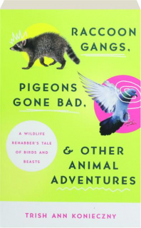 RACCOON GANGS, PIGEONS GONE BAD, & OTHER ANIMAL ADVENTURES