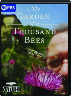 MY GARDEN OF A THOUSAND BEES: NATURE