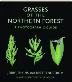 GRASSES OF THE NORTHERN FOREST: A Photographic Guide