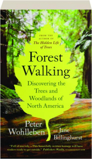 FOREST WALKING: Discovering the Trees and Woodlands of North America
