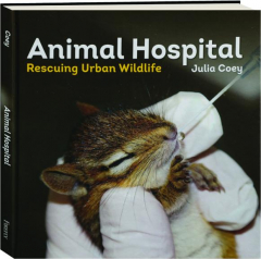 ANIMAL HOSPITAL: Rescuing Urban Wildlife