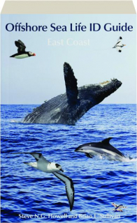OFFSHORE SEA LIFE ID GUIDE: East Coast