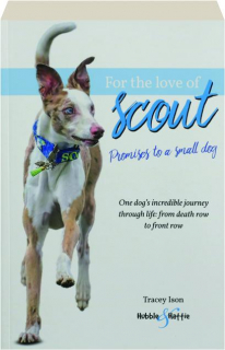 FOR THE LOVE OF SCOUT: Promises to a Small Dog