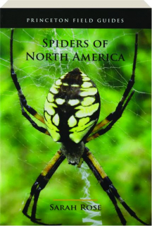 SPIDERS OF NORTH AMERICA: Princeton Field Guides