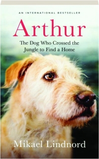 ARTHUR: The Dog Who Crossed the Jungle to Find a Home