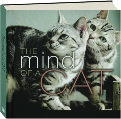 THE MIND OF A CAT