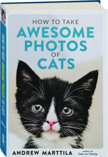 HOW TO TAKE AWESOME PHOTOS OF CATS