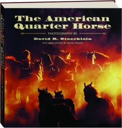 THE AMERICAN QUARTER HORSE