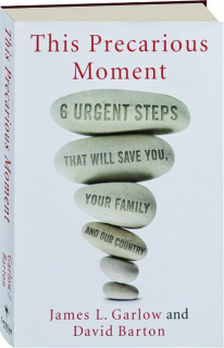 THIS PRECARIOUS MOMENT: Six Urgent Steps That Will Save You, Your Family and Our Country