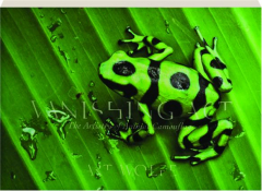 VANISHING ACT: The Artistry of Animal Camouflage