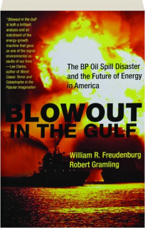 BLOWOUT IN THE GULF: The BP Oil Spill Disaster and the Future of Energy in America