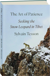 THE ART OF PATIENCE: Seeking the Snow Leopard in Tibet