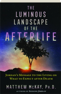 THE LUMINOUS LANDSCAPE OF THE AFTERLIFE: Jordan's Message to the Living on What to Expect After Death
