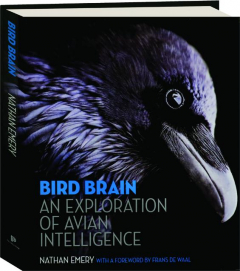 BIRD BRAIN: An Exploration of Avian Intelligence