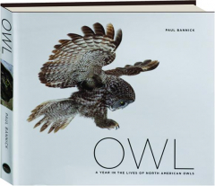 OWL: A Year in the Lives of North American Owls