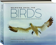 BRINGING BACK THE BIRDS: Exploring Migration and Preserving Birdscapes Throughout the Americas