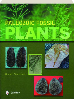 PALEOZOIC FOSSIL PLANTS