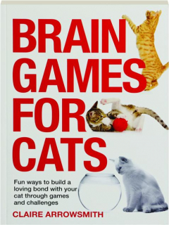 BRAIN GAMES FOR CATS
