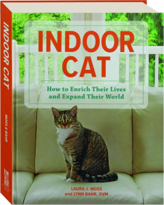 INDOOR CAT: How to Enrich Their Lives and Expand Their World