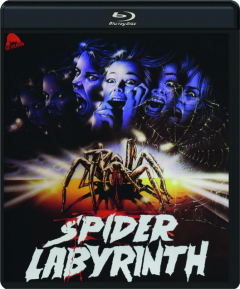 SPIDER LABYRINTH
