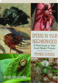 SPIDERS IN YOUR NEIGHBORHOOD, REVISED