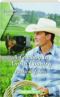 A COWBOY IN AMISH COUNTRY