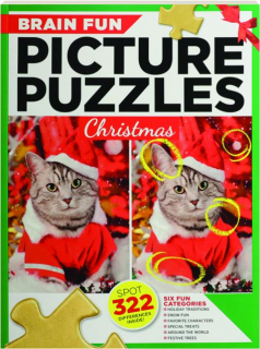 BRAIN FUN PICTURE PUZZLES: Christmas