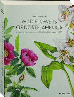 WILD FLOWERS OF NORTH AMERICA