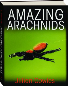 AMAZING ARACHNIDS