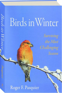 BIRDS IN WINTER: Surviving the Most Challenging Season