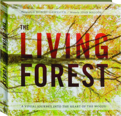 THE LIVING FOREST: A Visual Journey into the Heart of the Woods
