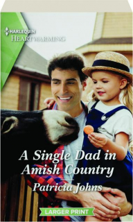 A SINGLE DAD IN AMISH COUNTRY