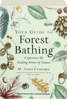 YOUR GUIDE TO FOREST BATHING: Experience the Healing Power of Nature