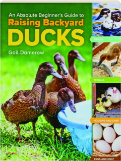 AN ABSOLUTE BEGINNER'S GUIDE TO RAISING BACKYARD DUCKS