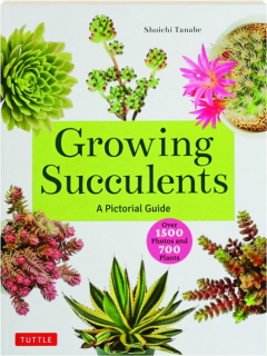 GROWING SUCCULENTS: A Pictorial Guide