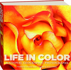 LIFE IN COLOR: <I>National Geographic</I> Photographs