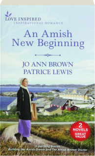 AN AMISH NEW BEGINNING