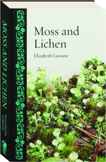 MOSS AND LICHEN