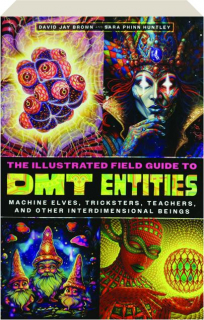 THE ILLUSTRATED FIELD GUIDE TO DMT ENTITIES: Machine Elves, Tricksters, Teachers, and Other Interdimensional Beings