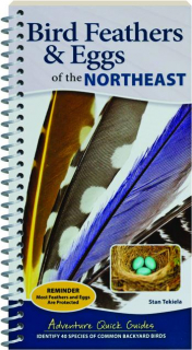 BIRD FEATHERS & EGGS OF THE NORTHEAST: Adventure Quick Guides