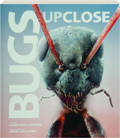 BUGS UP CLOSE